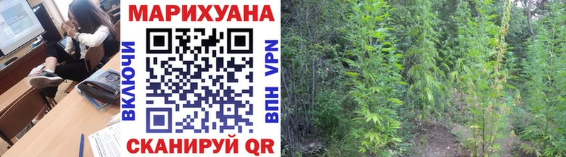 Виды наркотиков купить Кольчугино МЕТАМФЕТАМИН  Конопля  Псилоцибиновые грибы  Мефедрон  Alpha PVP  ГАШ 