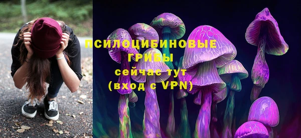 Альфа ПВП Алзамай