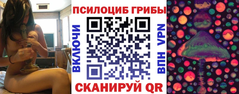 продажа наркотиков  Кольчугино  ссылка на мегу вход  Галлюциногенные грибы Psilocybe 